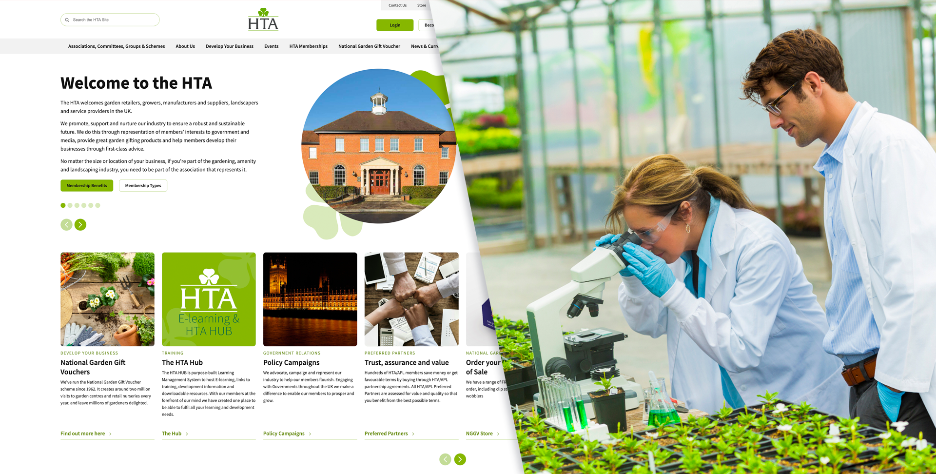 HTA webpage