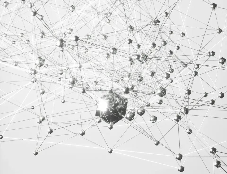 a close-up of a network