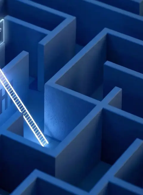 a ladder leading to a maze