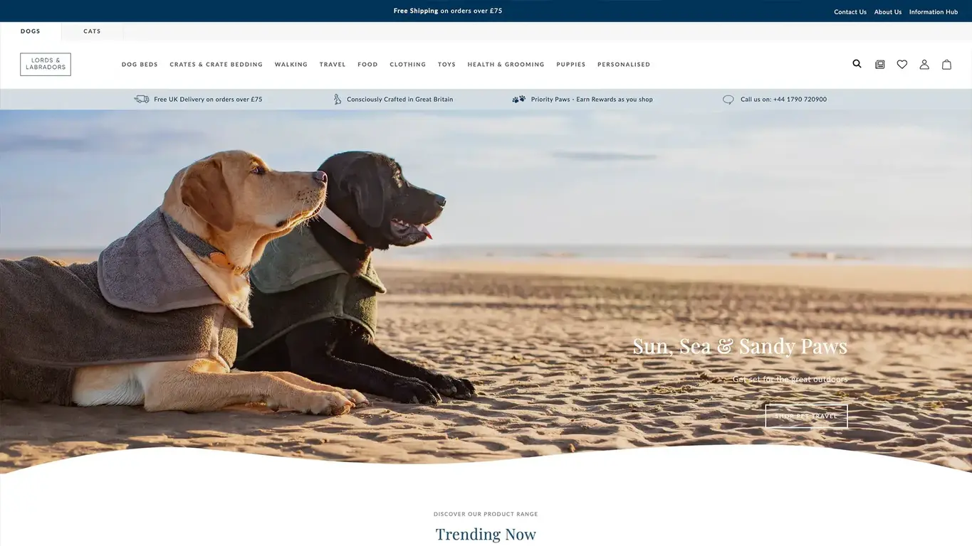 a screenshot of two dogs on a beach